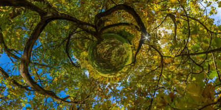 hyperbolic little planet projection of spherical panorama under yellow oak at sunny autumn day in park with blue sky and clouds.の写真素材