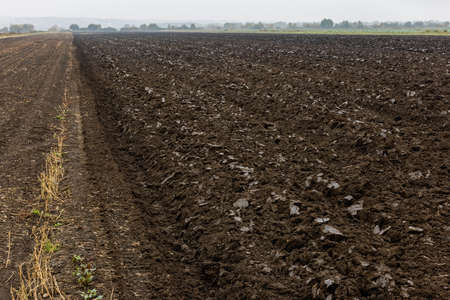 freshly plowed soil field in the foggy morning - close wide angle view with edge-to-edge sharpness