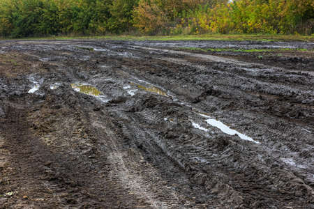 wide dirt road near agricultural field at misty autumnal morning