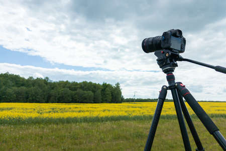 modern professional mirrorless camera on tripod shooting yellow field on tripod, closeup