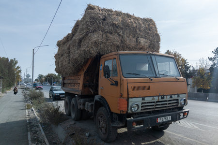 Old Kamaz dump truck with enormous amount of hay brickets in Sokuluk, Kyrgyzstan at October 17, 2022