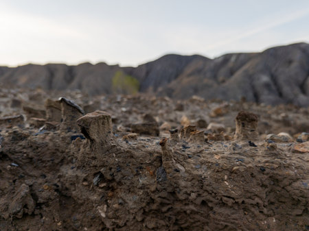 eroded soil quarry ravine with columns of sand formed under stones at summer eveningの写真素材