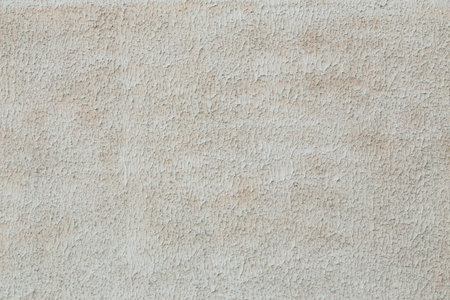 ornamental lossed stucco shuba plastering texture and backgroundの写真素材
