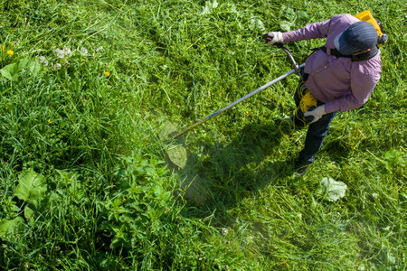lawnmower man with string trimmer trimming grass at sunny day.