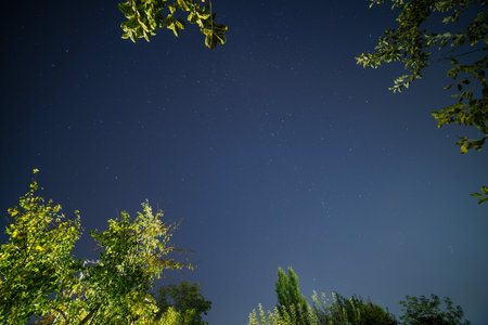 starry night sky in garden, wide angle capture in zenith directionの写真素材