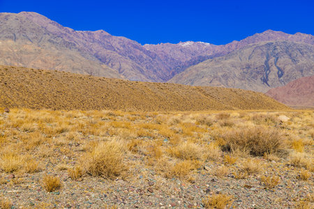 rocks and dry grass tufts in autumn mountains scene at sunny dayの写真素材