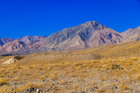 rocks and dry grass tufts in autumn mountains scene at sunny dayの写真素材