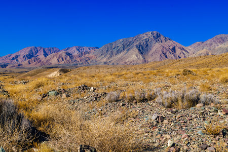 rocks and dry grass tufts in autumn mountains scene at sunny dayの写真素材