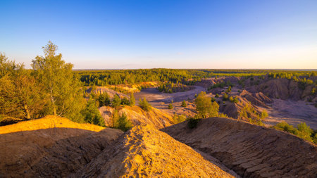 eroded soil quarry ravine with forest on its edge at sunny summer eveningの写真素材