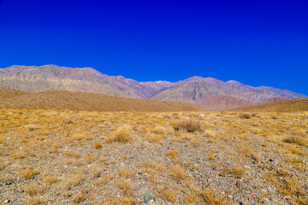 rocks and dry grass tufts in autumn mountains scene at sunny dayの写真素材