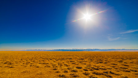 field covered with dry grass bumps with distant high mountains on the horizon, wide angle viewの写真素材