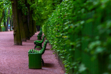 Benches in the Summer Garden - Russian: Letniy sad - in Saint Peteの写真素材