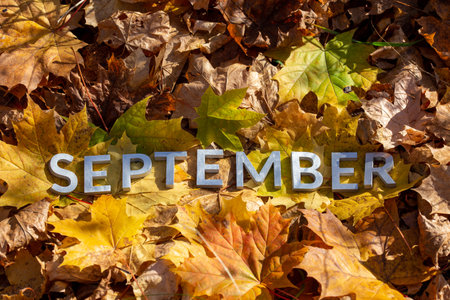 word September laid with silver metal letters on fallen maple leaves on autumn forest floorの写真素材