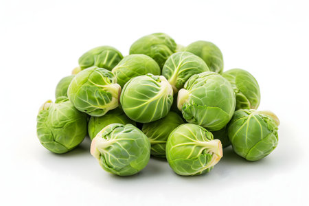 Small heap of brussels sprouts on white backgroundの素材