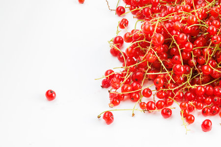 red currants on a white backgroundの写真素材