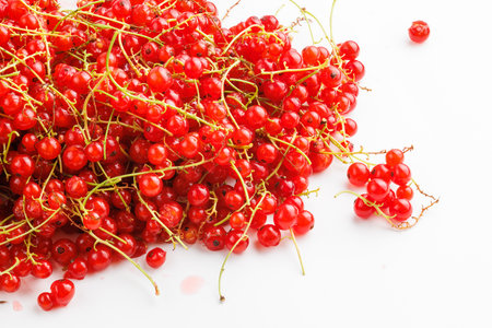 red currants on a white backgroundの写真素材
