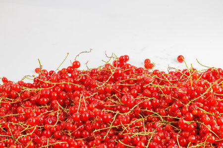 red currants on a white background