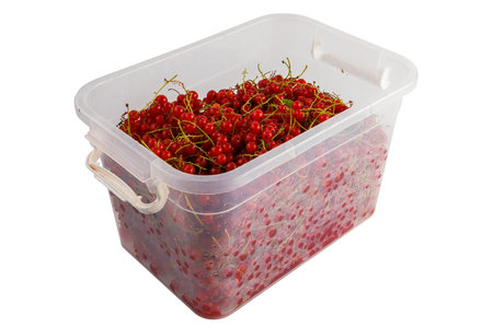plastic container with red currants isolated on white backgroundの写真素材