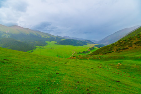 green grass covered mountains at rainy summer day