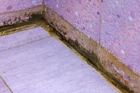 filthy dirty bathroom shower floor cornerの写真素材
