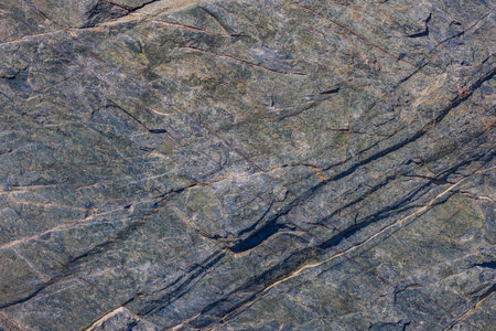 Detailed close-up of a foliated metamorphic rock surface featuring distinct parallel layers and several prominent diagonal fractures, under natural daylight.の写真素材