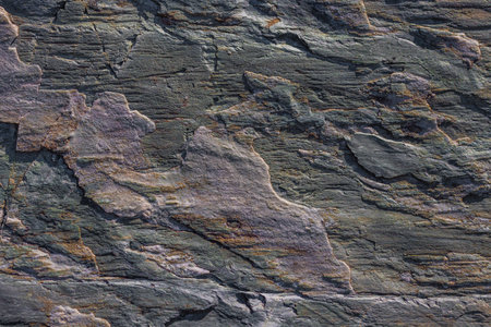 Detailed view of a rough metamorphic rock face showing distinct layers of dark gray and lighter...