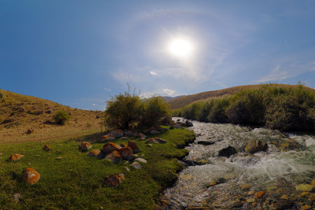 Fast-flowing mountain river cascades over rocks, creating white water rapids. Lush green banks under...