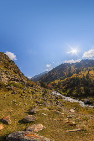 View across Zhylamysh Gorge showing a river, steep rocky cliffs, and slopes covered in green conifers and vibrant autumn foliage under a sunny sky.の写真素材