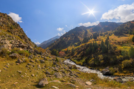 View across Zhylamysh Gorge showing a river, steep rocky cliffs, and slopes covered in green conifers and vibrant autumn foliage under a sunny sky.の写真素材