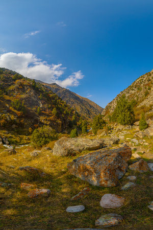 A wide angle shot shows a mountain valley floor covered with grass and numerous rocks of varying sizes. Sparse evergreen trees dot the landscape. Steep mountain slopes rise on either side under a clear blue sky with scattered white clouds.の写真素材