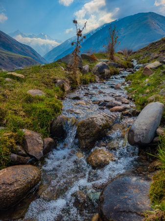 Serene stream flows gently through rocky terrain in a mountainous region. Tranquil atmosphere captures the peaceful essence of nature during daytime outdoors.の写真素材