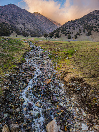 Tranquil mountain valley features a serene stream flowing over rocks. Daytime light enhances the peaceful atmosphere of nature, inviting calm and reflection.の写真素材
