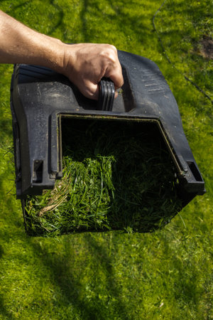Hand holds a plastic lawn mover container filled with cut grass in a serene outdoor garden. Daytime...