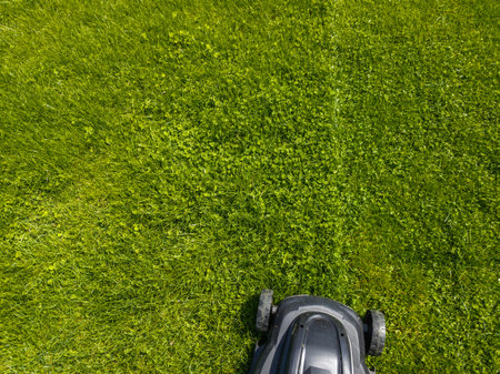 Lawnmower cuts grass in serene garden setting under clear blue sky. Bright sunlight enhances tranquil atmosphere, showcasing well-maintained lawn and garden.の写真素材
