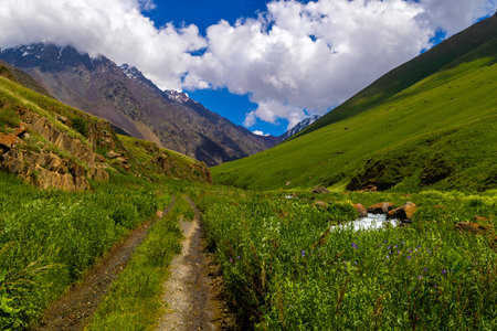 Tranquil mountain valley features a winding dirt road and a gently flowing stream in Kyrgyzstan during daytime.の写真素材