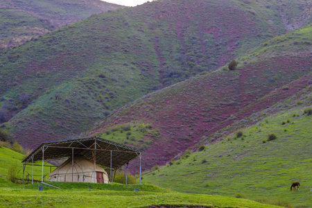 Horse grazing near yurt under metal shelter in peaceful mountainous grasslandの写真素材