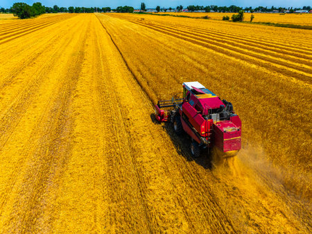 Combine harvester working in serene agricultural fieldの写真素材