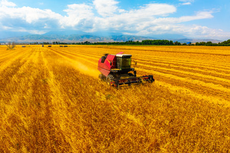 Combine harvester working in serene agricultural fieldの写真素材