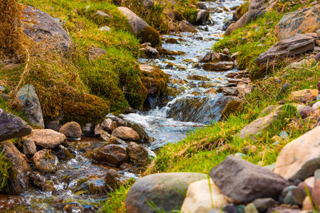 Clear stream flowing over mossy rocks.