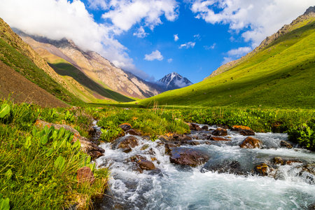 Serene mountain valley with flowing river and green vegetation in Kyrgyzstanの写真素材