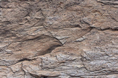 Rough sedimentary stone face texture and full-frame closeup backgroundの写真素材