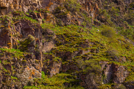 Vibrant moss and grass covering rocky hillside in mountainsの写真素材