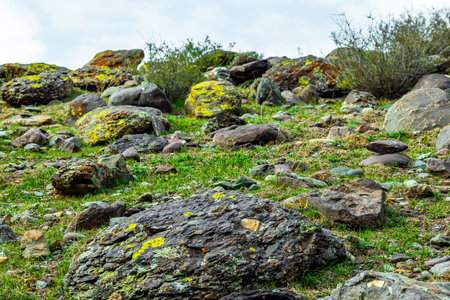 Serene rocks covered with moss in grassy field during daytimeの写真素材