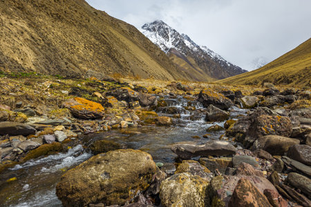 Flowing stream with rocks in serene mountainous Kyrgyzstan region