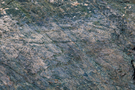 Close-up texture of a multi-toned metamorphic rock surface.