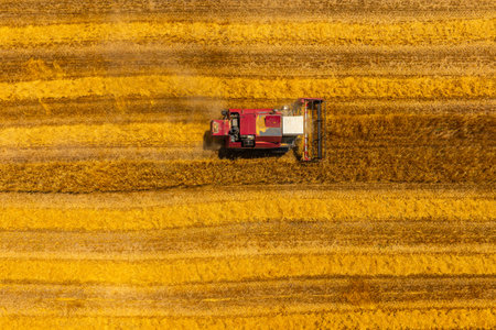 Combine harvester working in serene agricultural field during dayの写真素材