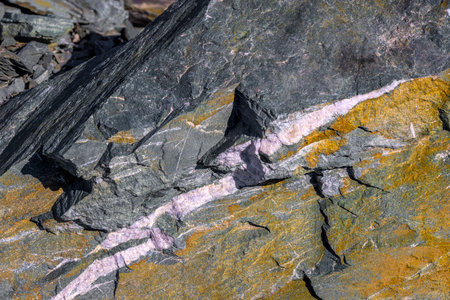 Vein of White Mineral in Dark Sedimentary Rock