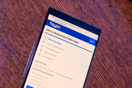 Balykchy, Kyrgyzstan - February 16, 2026 - Pay.gov Gifts to Reduce the Public Debt Form on Smartphone Screenのeditorial素材