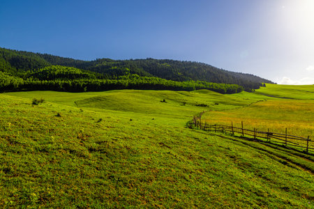 Wooden fence in rural landscape with rolling green hillsの写真素材