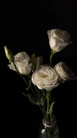 White eustoma flowersの写真素材